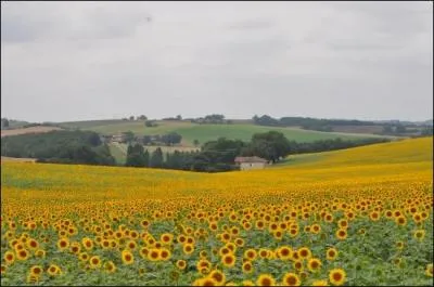 Ce dpartement du Sud-Ouest a pour chef-lieu Auch et sous-prfectures Condom et Fleurance. Faisant partie de la rgion Midi-Pyrnes, il est galement partie de la Gascogne. Quel est-il ?