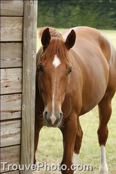 Quelle est cette robe ?