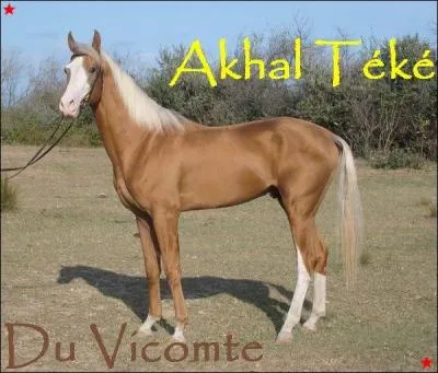 Et sur leurs membres ?