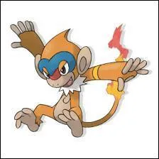 Quel est ce pokmon ?