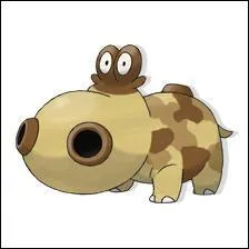 Quel est ce pokmon ?