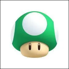 Quel est ce champignon ?