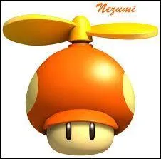 Quel est ce champignon ?