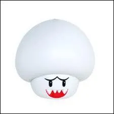 Quel est ce champignon ?