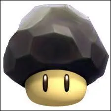 Quel est ce champignon ?