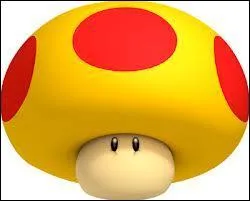 Quel est ce champignon ?