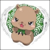 Qui est ce jewelpet ?