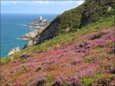 Comment se nomme ce cap qui donne un air d'Angleterre ? (Un seul de ces caps existe. )