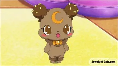Qui est ce jewelpet ?