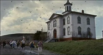 Quelle est l'actrice principale du film  les Oiseaux  de Hitchcook , o les corbeaux sont trs prsents ?