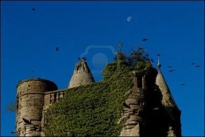  La vrit comme le corbeau, niche dans les ruines.   De qui est cette citation ?