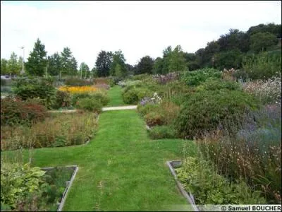 La pie bavarde est classe parmi les nuisibles. De quoi l'accuse-t-on ?