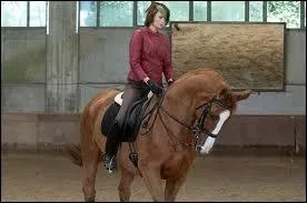 Quel est ce cheval ?