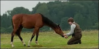 Qui est ce cheval ?