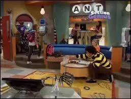 Comment s'appelle le lyce o tudient les membres de  Section Genius  ?