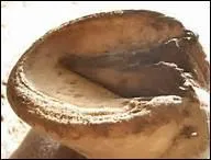 O se situe la fourchette dans le pied du cheval ?