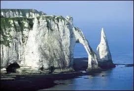 Sur quelle cte se situent les clbres falaises d'Etretat ?
