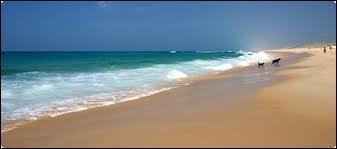 Quelle côte possède la plus longue plage ininterrompue de sable fin en Europe (plus de 100 km) ?