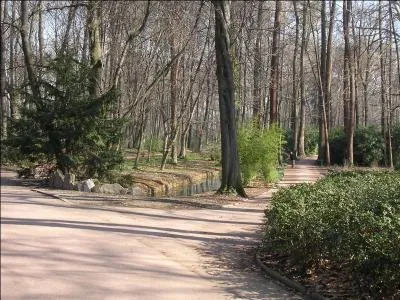 Sur l'image, on voit un humain :