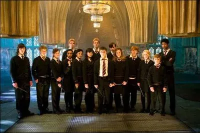 Quel est le nom du groupe que Harry entraine dans Harry Potter et l'ordre du phenix?