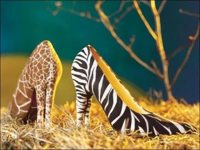 Quelle est la capitale franaise de la chaussure ?