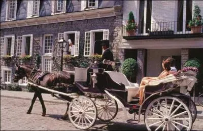 Cochez la bonne lgende pour chaque image :