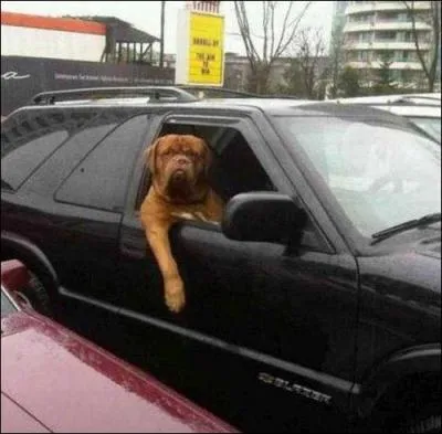 Combien de voitures voit-on sur la photo ? (Pas forcment entire)