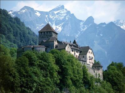 Vaduz est la capitale du Liechtenstein :