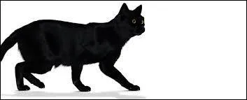 Trouve le mot qui ne signifie pas  noir  :