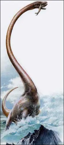 Comment se nomme ce reptile ?