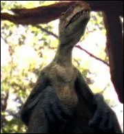 Comment se nomme ce reptile volant ?