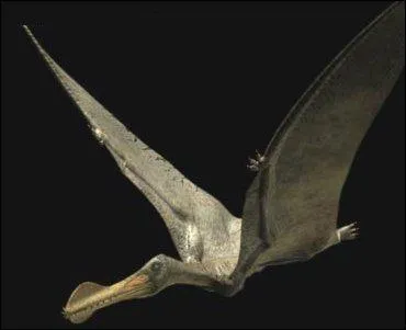 Comment se nomme ce reptile volant ?