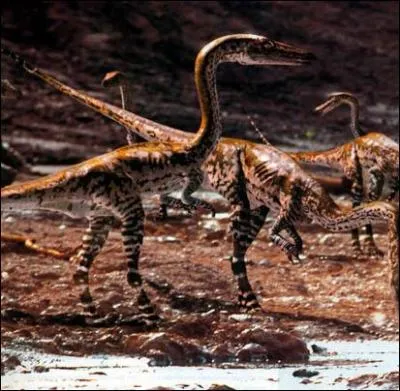 Comment se nomme cette espece de dinosaure ?