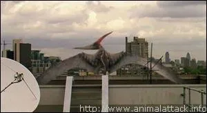 Comment se nomme ce reptile volant ?