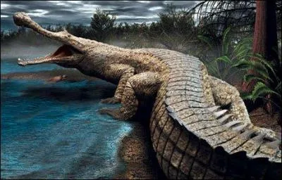 Comment se nomme ce crocodile ?