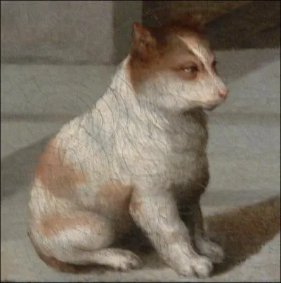 A qui est le chat Menegheto ?