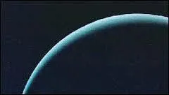 La caractristique de cette plante est