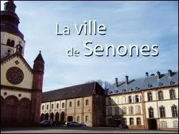 Nous sommes  Senones (rgion Lorraine). Nous nous situons dans le dpartement ...