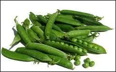 Quel est ce lgume vert qui sert d'accompagnement ?