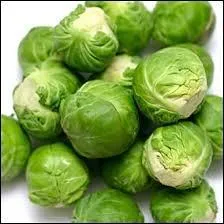 Quel est ce lgume vert rcolt en hiver ?