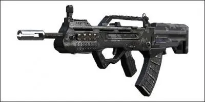 Quel est le nom de cette arme ?