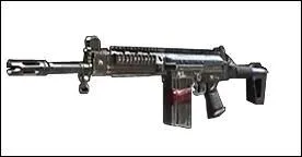 Quel est le nom de cette arme ?