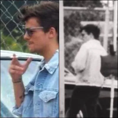 Niall a une fois entendu Louis chanter pendant la nuit. De quel film venait la chanson qu'il chantait ?