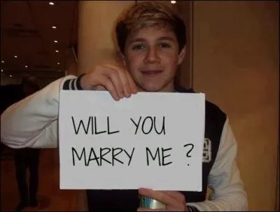 Dans quelle mission les 1D se sont-ils fait connatre ?