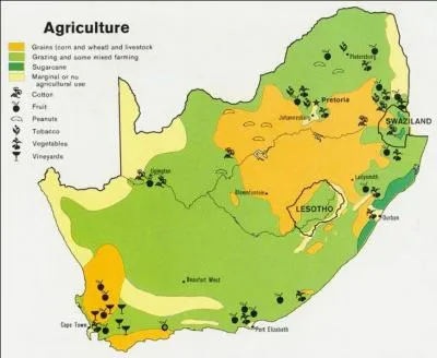 Quel pourcentage du PIB de l'Afrique du Sud est li  l'agriculture ?