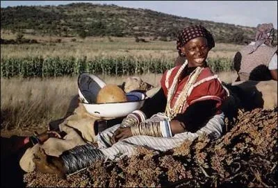 Quel pourcentage de la population totale reprsentent les noirs en Afrique du Sud en 2011 ?