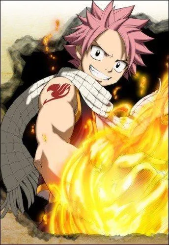 Qui fait la voix de Natsu Dragnir ?