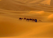 Quiz Bac : Le Sahara, ressources, conflits
