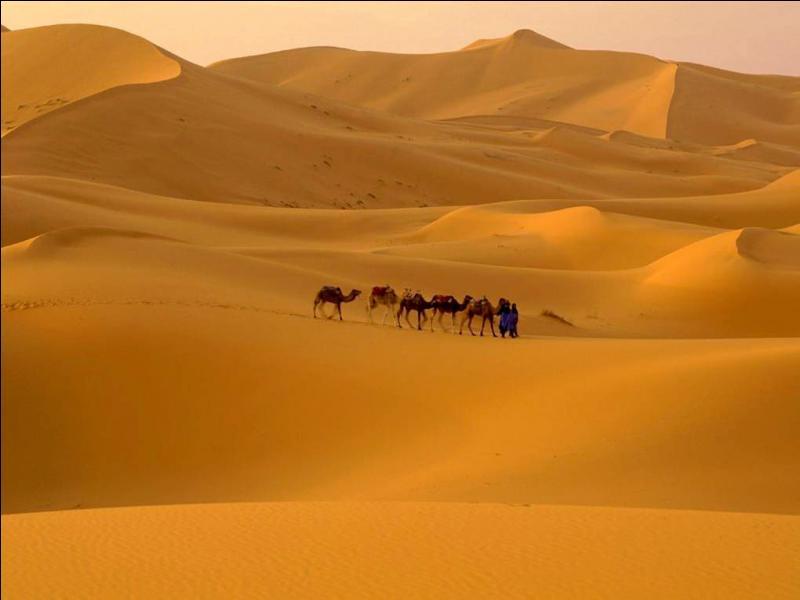 Bac : Le Sahara, ressources, conflits