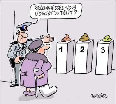 C'est une expression scatologique !